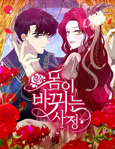 Circumstances of Switching Bodies