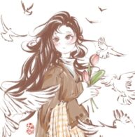 no-wri