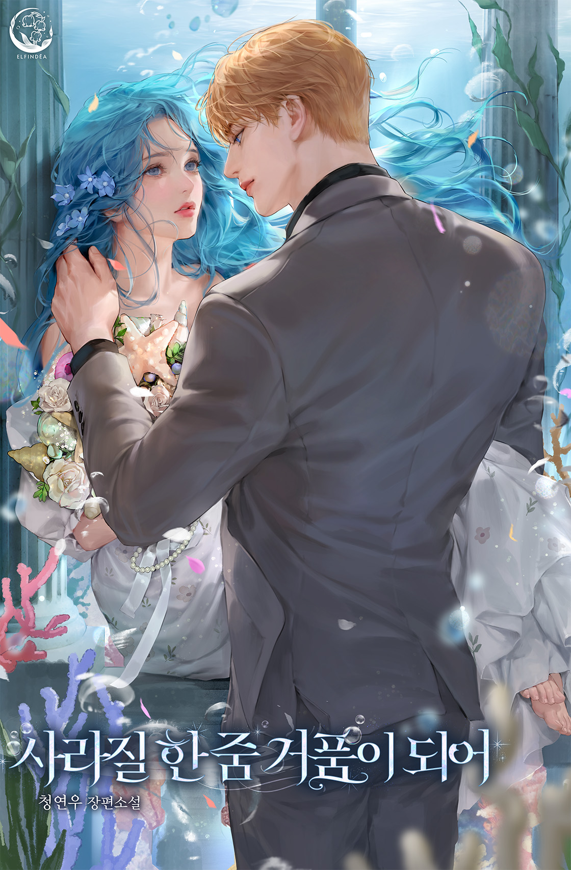 cover (17)