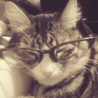 مياولي لاريت