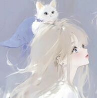 𝓡𝓸𝓼𝓮 𝓐𝓷𝓪𝓶𝓲